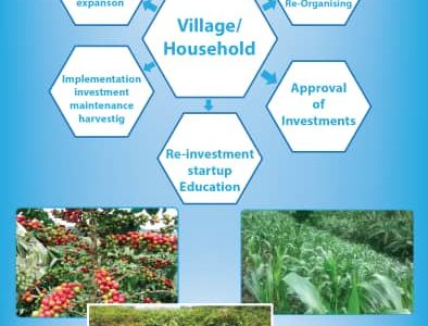 GLOFORD’s Village/Household Transformation Model (VTM)